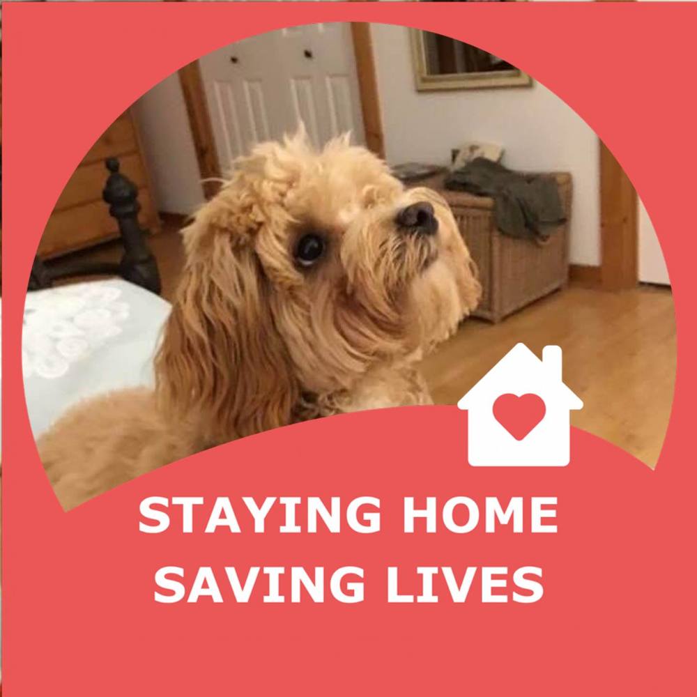 Meet your Posher, Karen